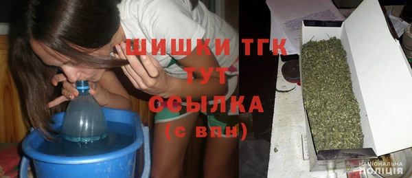 молекула духа Бронницы