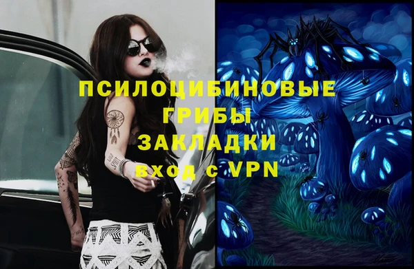 молекула духа Бронницы