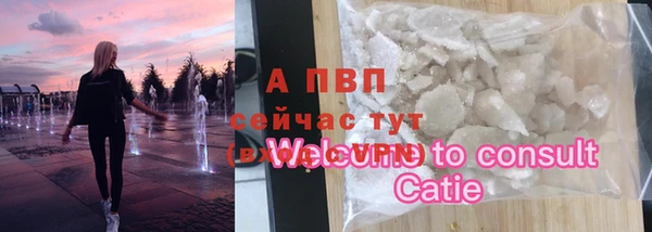 винт Бородино