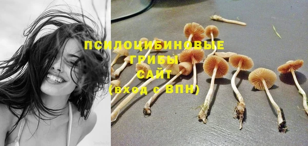 молекула духа Бронницы