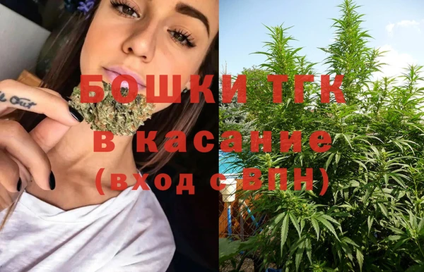 молекула духа Бронницы