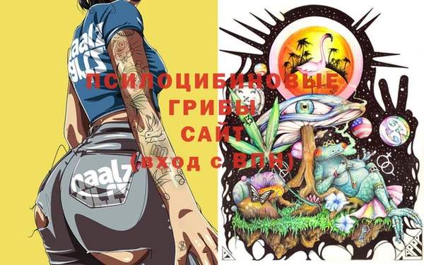 соль курить ск Бугульма