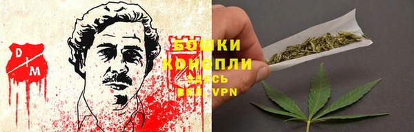 винт Бородино
