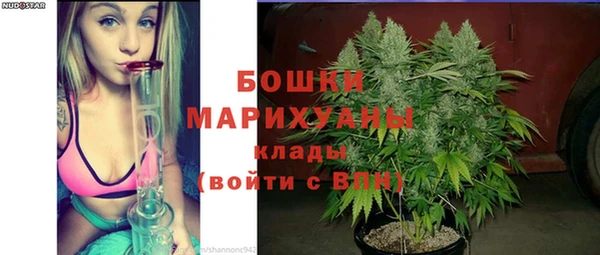 молекула духа Бронницы