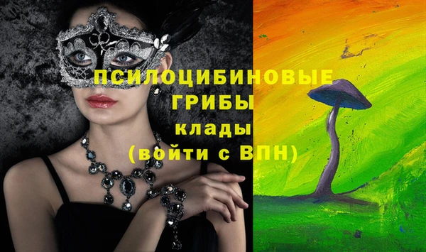 винт Бородино