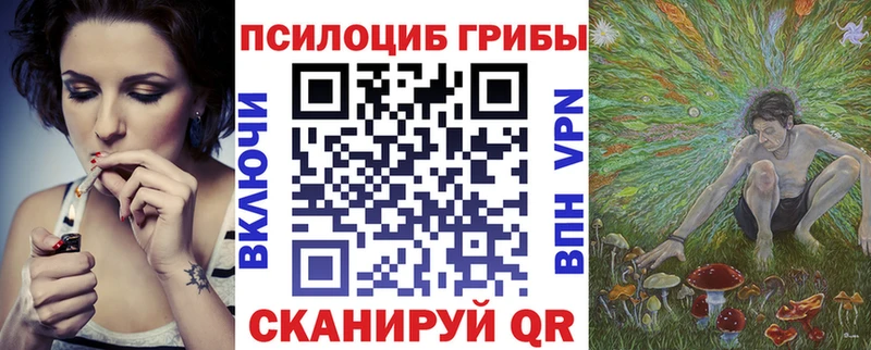 Псилоцибиновые грибы GOLDEN TEACHER  как найти   OMG зеркало  Грязи 